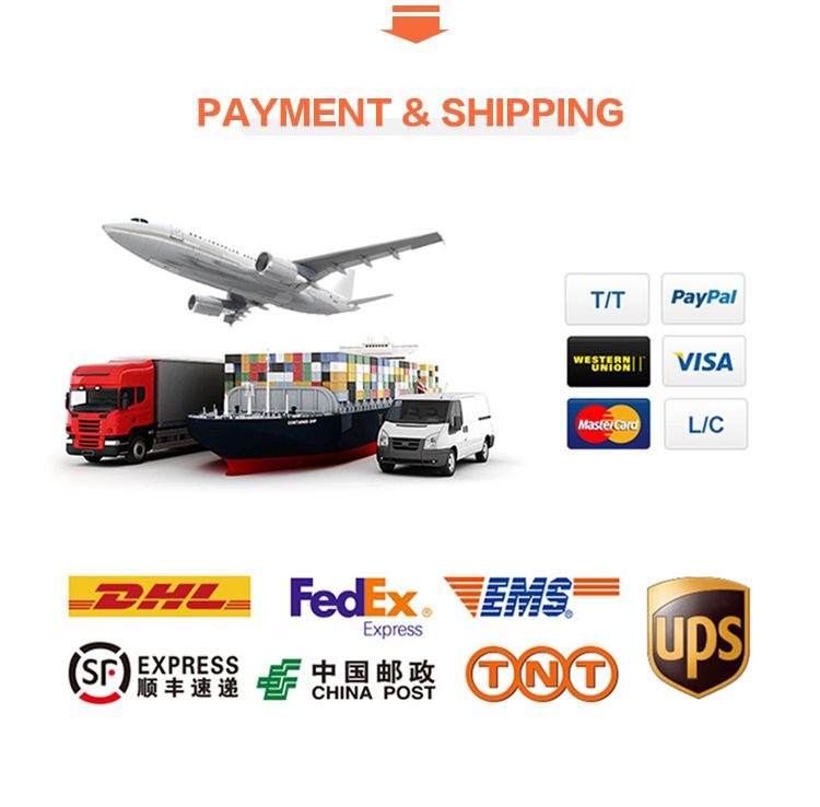 New Trend Fruit & Vegetable Tools Grater Slicer Kitchen Accessories Kitchen Gadgets Vegetable Chopper Set for Cooking